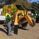 Curtis Tree Lopping Specialists - Pic 7