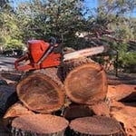 Brady Tree Service Pty Ltd - Pic 2