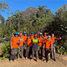 True Blue Tree & Stump Removal - Pic 7