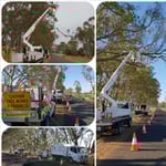 Nelson's Tree Services - Pic 6