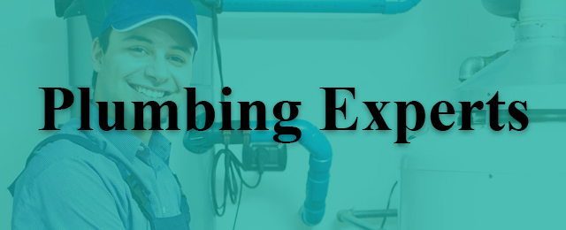 Plessas Plumbing - Promotion 2