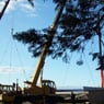 Gow's Transports & Mobile Cranes Pty Ltd - Pic 7