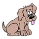 APAT Aussie Pet & Animal Travel - Pic 6