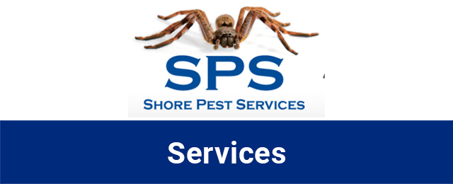 Shore Pest Services - Promotion 3