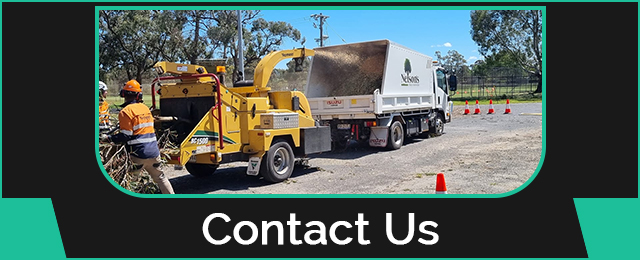 Nelson's Tree Services - Promotion 1