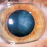 Murdoch Eye Centre - Pic 1