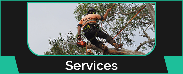 Nelson's Tree Services - Promotion 3