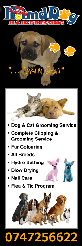 hound dog hairdressing