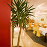 Roses Family Restaurant - Pic 10