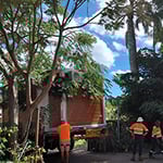 Affordable and Easy Homes - Pic 5