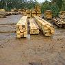 Dindi Sawmills Pty Ltd - Pic 7