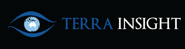 Terra Insight - logo