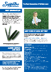 Next Generation Of Buffalo Lawn