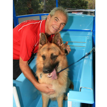 Dog Grooming Kallangur Dog Grooming Kallangur
