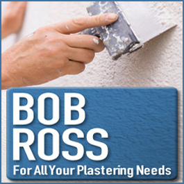 Bob Ross - Promotion