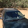 Best Fit Windscreens - Pic 8