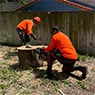 Wood FX - Pic 10