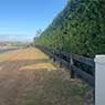 BSK Tree Services Pty Ltd - Pic 1