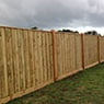 Morrison Fencing - Pic 4