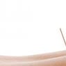 Physiotherapy For Women - Pic 8