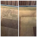 Wimmera Drytron Carpet Cleaning - Pic 5