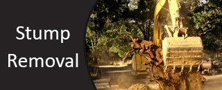 M. & C. Excavations Land Clearing And Tree Services - Promotion 2