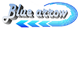 Blue Arrow Driving School - logo