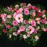 Simple Price Wise Cremations - Pic 4