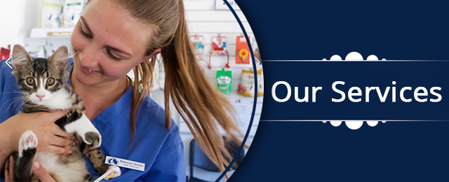Westlakes Veterinary Hospital - Promotion 2