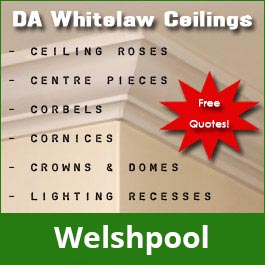 DA Whitelaw Ceilings - Promotion