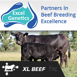 Excel Genetics - Promotion