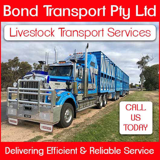 Bond Transport Pty Ltd Livestock Transport Services Yarrawonga Yellow Pages®