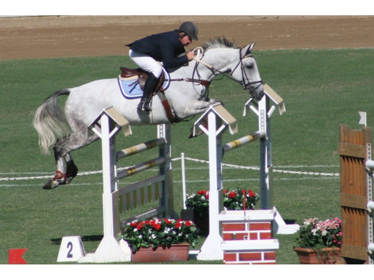 Forest Park Riding & Equitation School Horse Riding 912 Cotter Rd