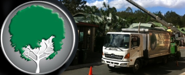A Accurate Tree Services - Promotion 2