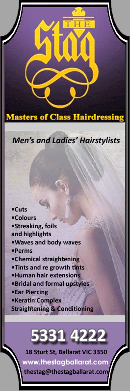 The Stag Salon - Promotion
