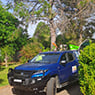 Phil's Tree Service - Pic 6