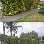 Rob's Tree Service - Pic 6
