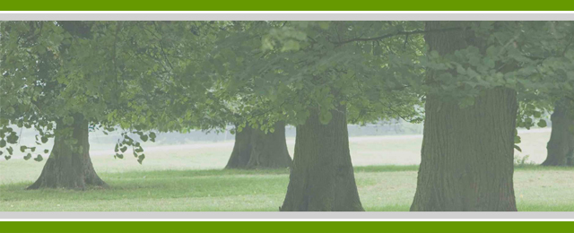 Walton's Tree Care Services - Promotion 3