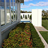 Craig Adams Home & Garden Maintenance Services - Pic 3