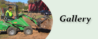 Curtis Tree Lopping Specialists - Promotion 3