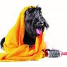 Pet Universe Veterinary Centre Broadview & Northgate - Pic 6