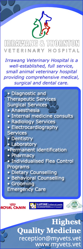 Irrawang Veterinary Hospital Clinic - Promotion