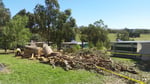 Aussie Tree Fellers - Pic 3