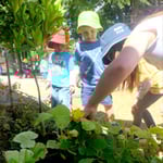 Minikins Kindergarten & Child Care Centre - Pic 4
