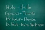 French & Spanish Tuition