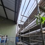 Wrapit Scaff - Pic 3