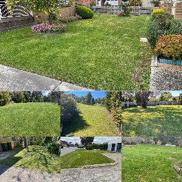 After photos 
