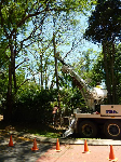 Power Pole Installations - Pic 3