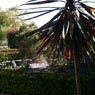 Robert's Home & Garden Maintenance - Pic 6