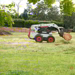 Woodstock Tree & Stump Removal - Pic 6